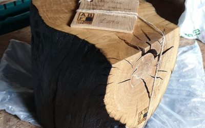 Chelsea Flower Show 2019