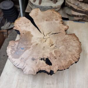 Brooks burr oak tree trunk slice table resin